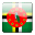 Dominica visa