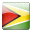 Guyana visa
